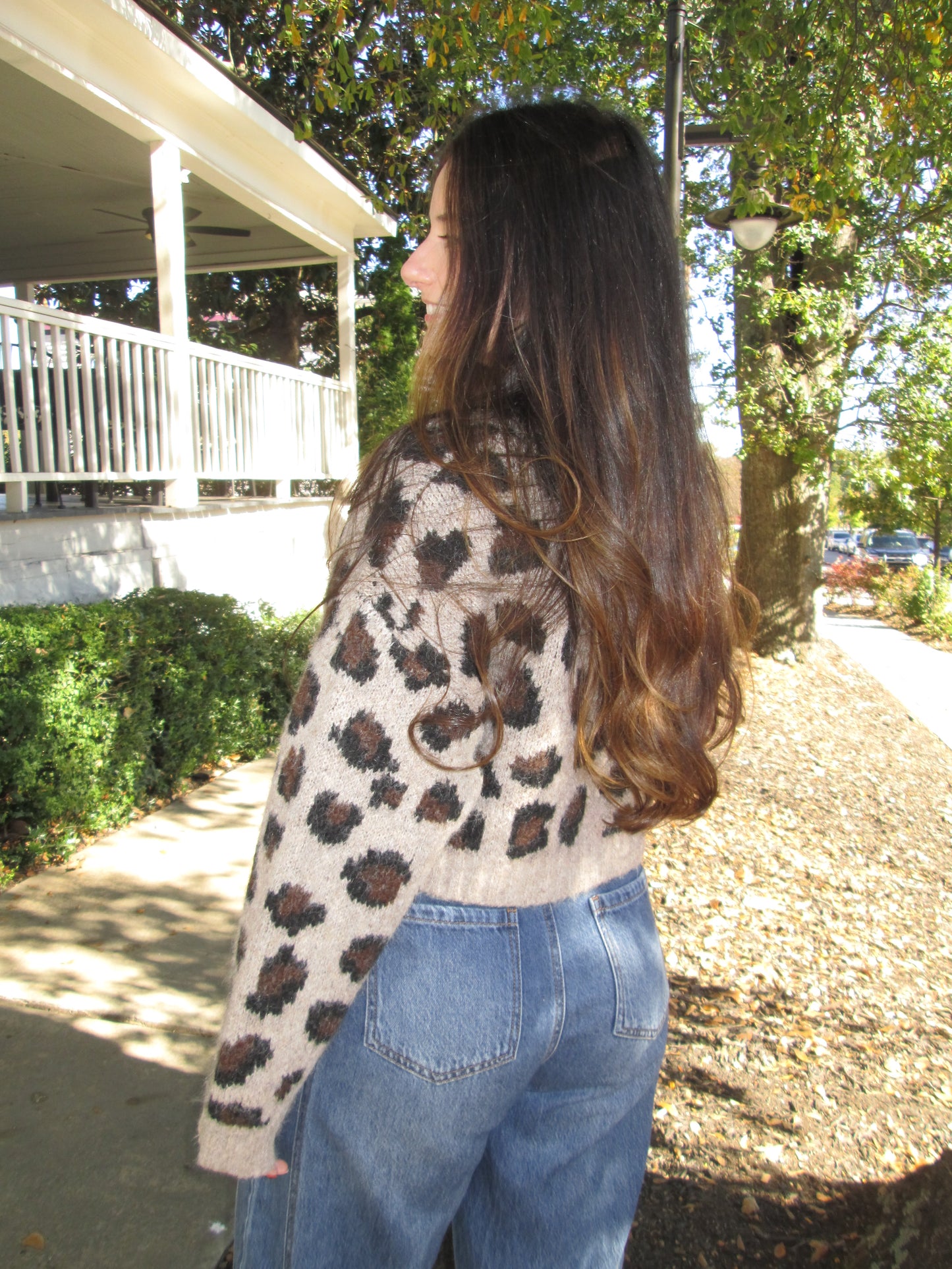 Conversation Starter Cropped Leopard Print Knit Sweater