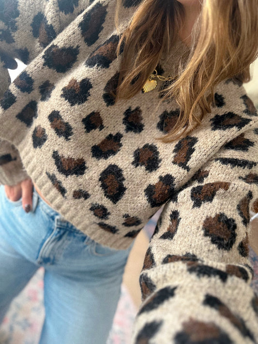 Conversation Starter Cropped Leopard Print Knit Sweater