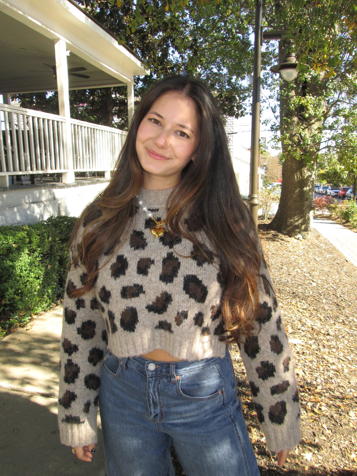 Conversation Starter Cropped Leopard Print Knit Sweater