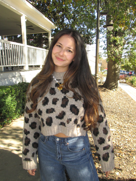 Conversation Starter Cropped Leopard Print Knit Sweater