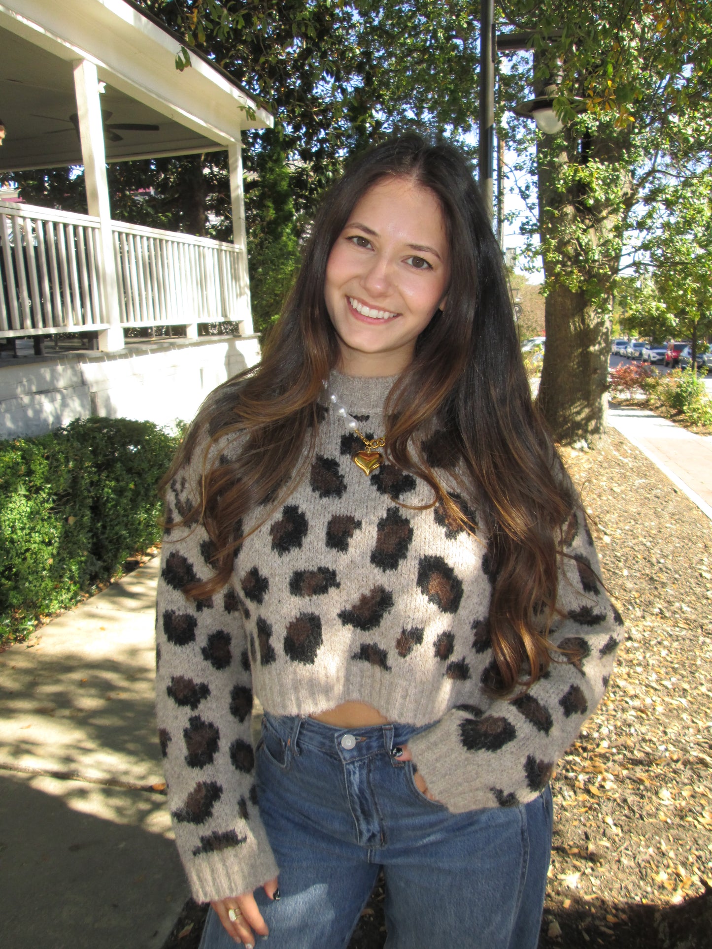 Conversation Starter Cropped Leopard Print Knit Sweater