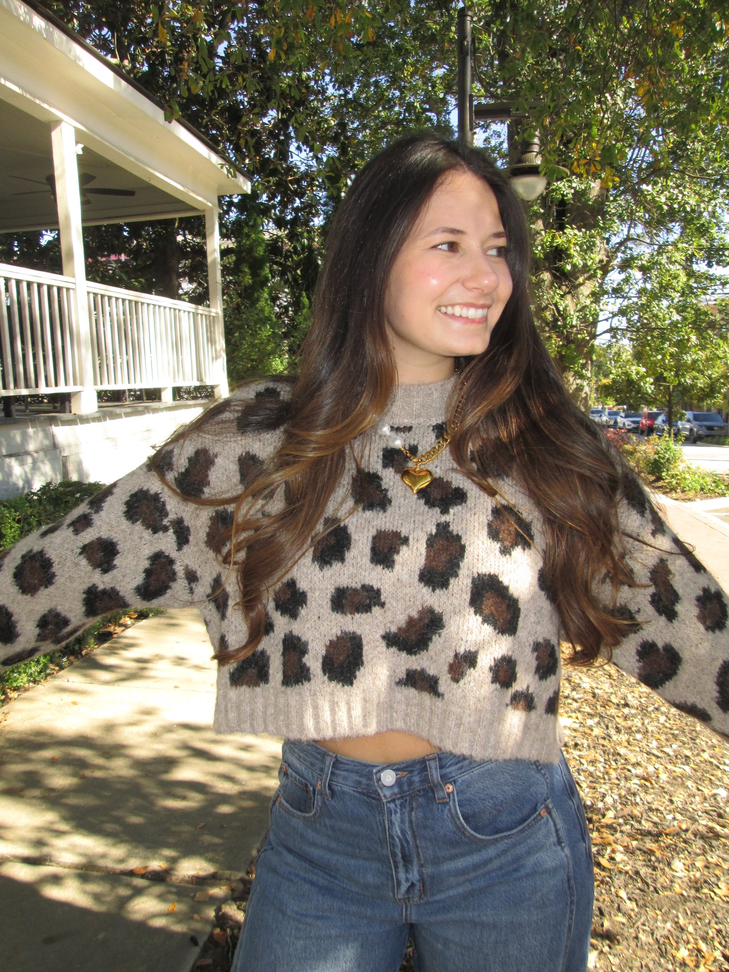 Conversation Starter Cropped Leopard Print Knit Sweater