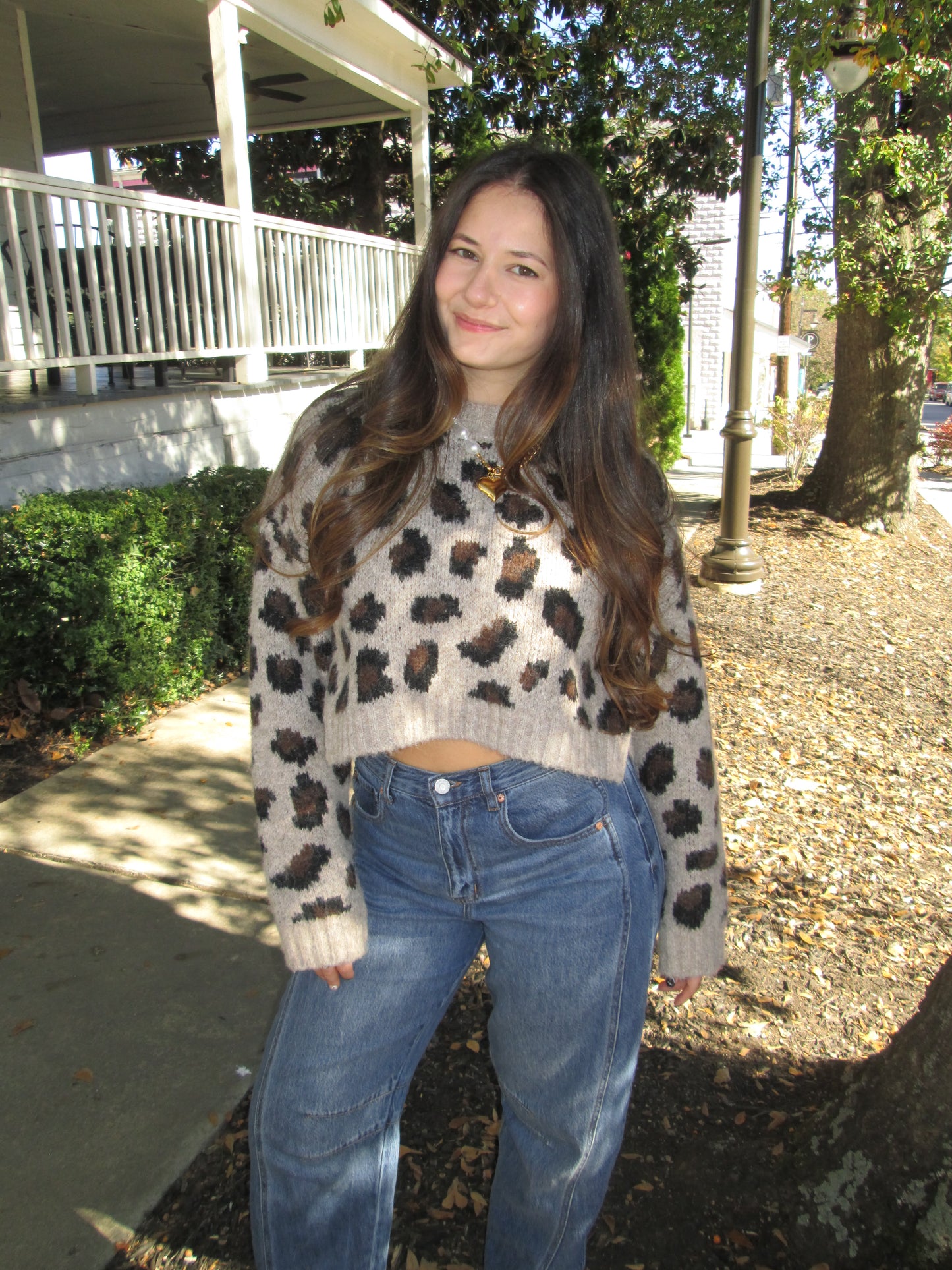 Conversation Starter Cropped Leopard Print Knit Sweater